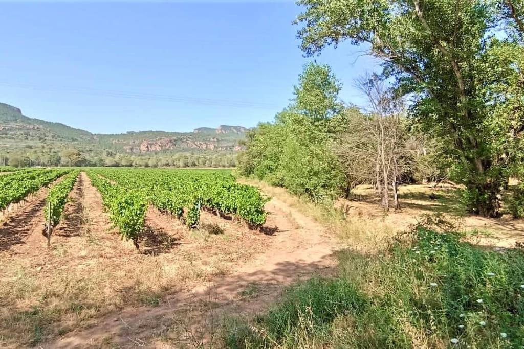 Superbe Villa Cadre Campagne Roquebrune-sur Argens Exteriör bild